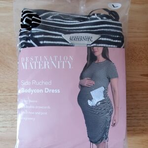 Destination Maternity L Dress